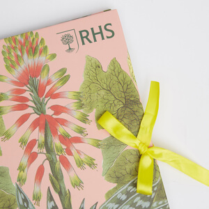 RHS Scrapbook Succulents 12in